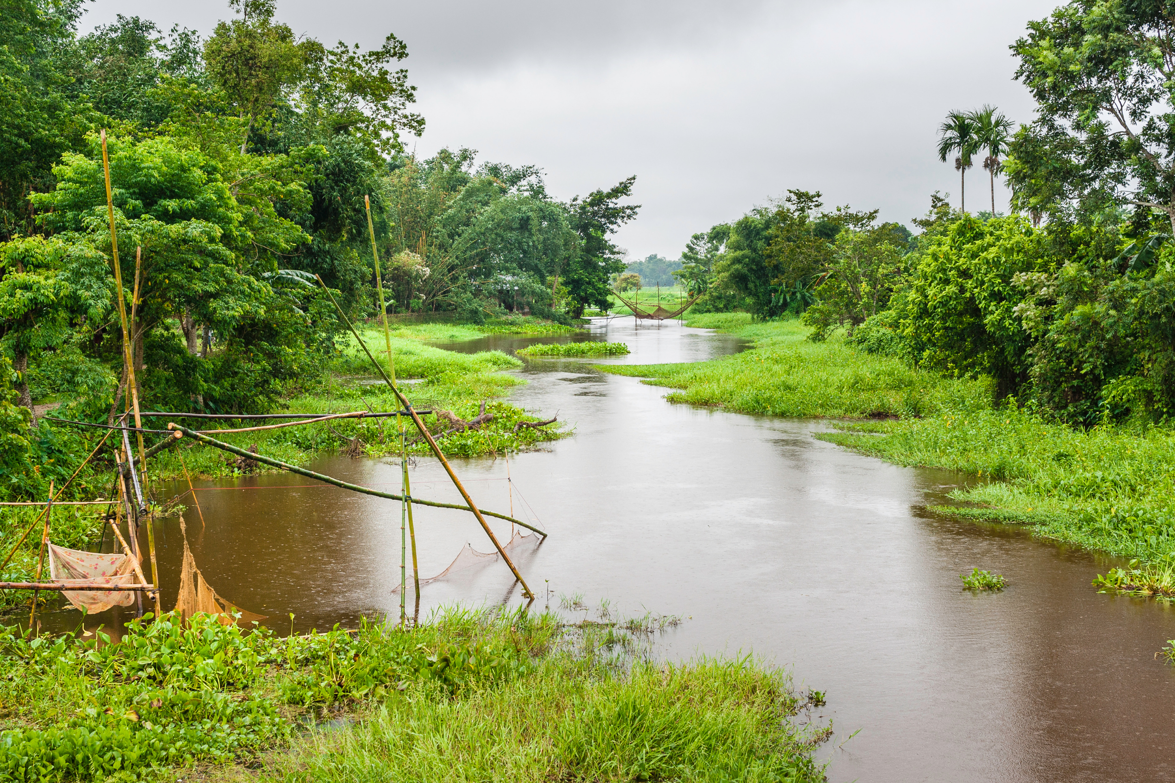 142 jorhat.webp